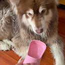 Garrafa de água portátil para cães com recipiente para comida, dispensador de água para animais de estimação 2 em 1 para cães pequenos e grandes, gatos e labradores