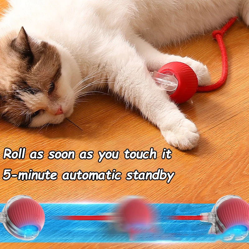 Novo brinquedo interativo para gatos, bola rolante automática, rabo falso, brinquedo elétrico inteligente recarregável para animais de estimação, treinamento para cães e gatos, imitação de rato